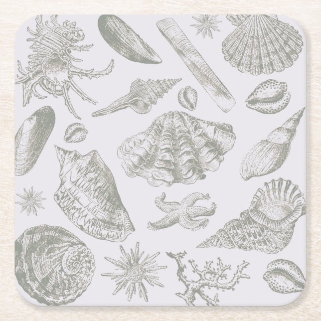 Seashell Soft Antique Art Beach Shells Square Paper Coaster (Front)