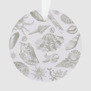 Seashell Soft Antique Art Beach Shops
