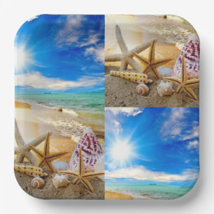 Seashell square Paper Plate