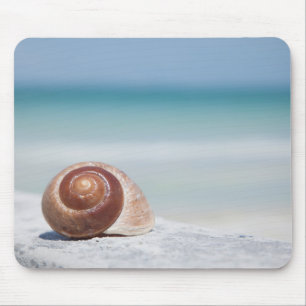 Seashell St. Petersburg, Florida Mouse Pad