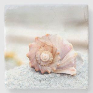 Seashell Stone Coaster