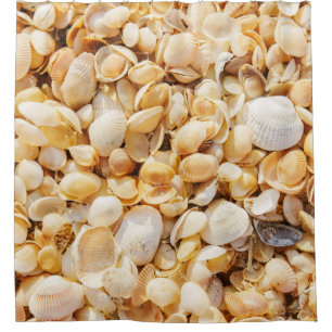 Seashell textured summer beach background.