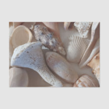 Seashell Tissue Paper