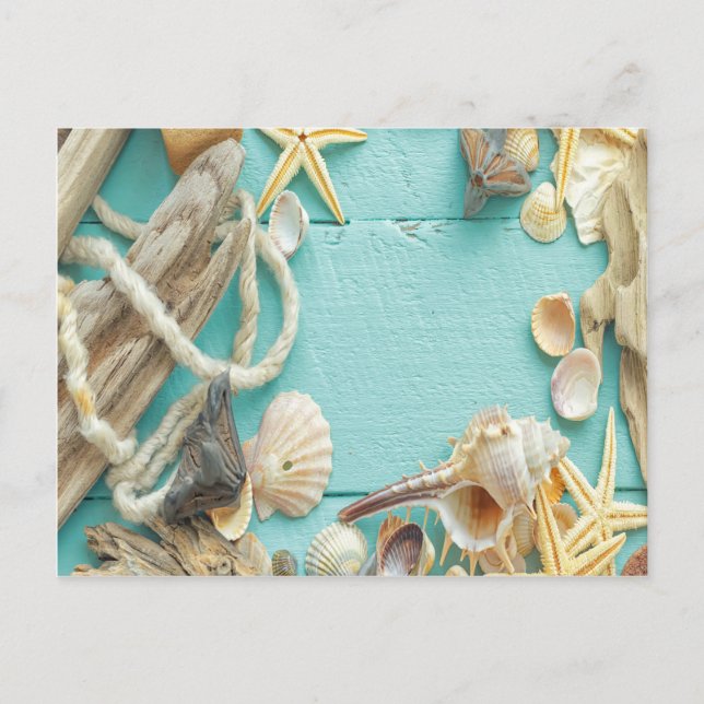 seashell,vintage,collage,turquoise,chic,trendy,fun postcard (Front)