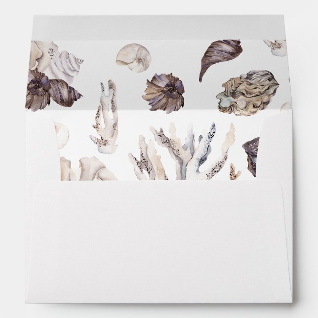 Seashells 4 envelope (Back (Bottom))