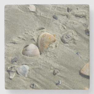 Seashells And Sand Stone Coaster
