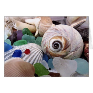Seashells and Sea Glass
