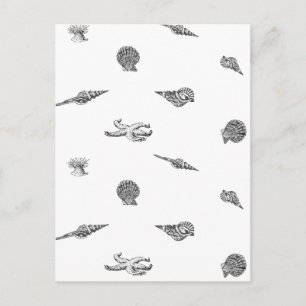Seashells and Starfish pattern Postcard