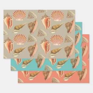 seashells artistic vintage style wrapping paper sheet