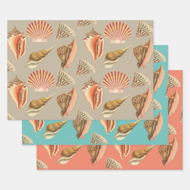 seashells artistic vintage style wrapping paper sheet (Set)