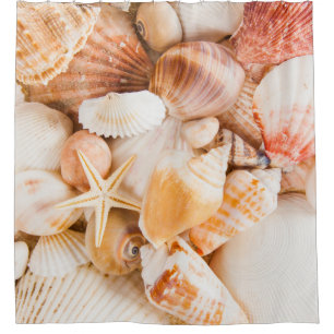 Seashells background: marine theme.