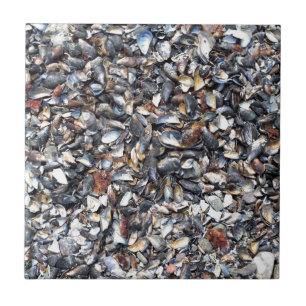 Seashells background tile