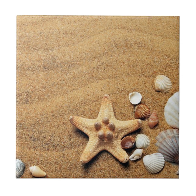Seashells Beach   Tile (Front)