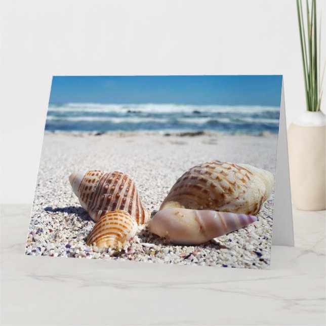 SEASHELLS BEACH TROPICAL BANNIVERSAIRE CARTE DE SA (Devant)