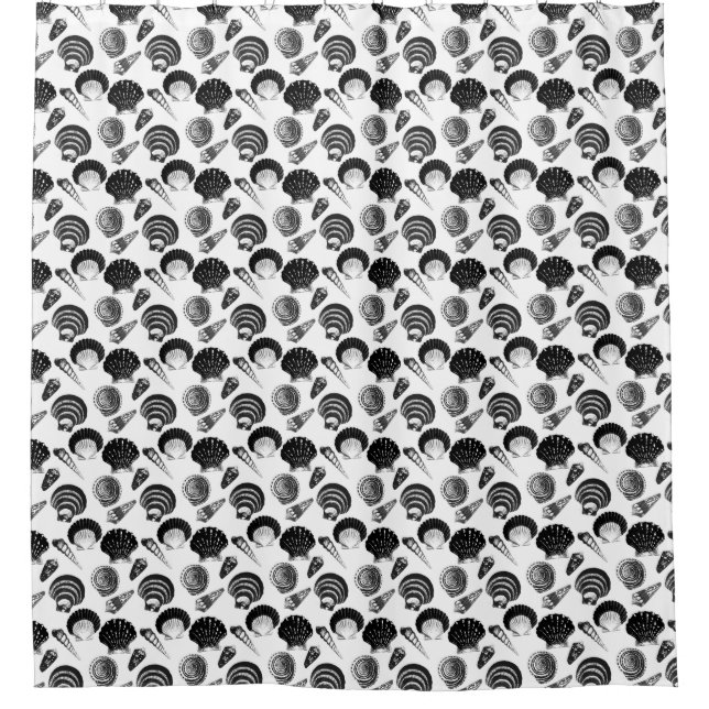 Seashells - black and white on a white background (Front)
