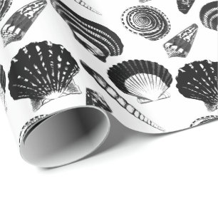 Seashells - black and white on a white background wrapping paper