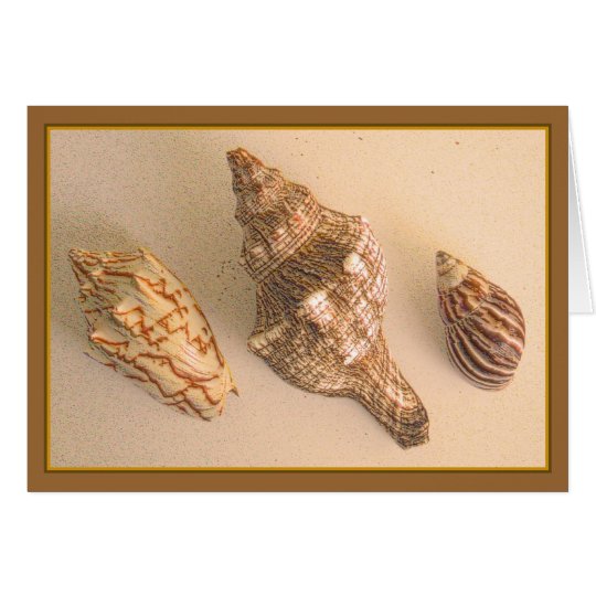 Seashells Blank Card