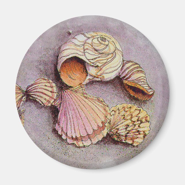 SEASHELLS by SHARON SHARPE Magnet (Front)