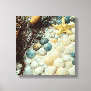 Seashells Canvas Print