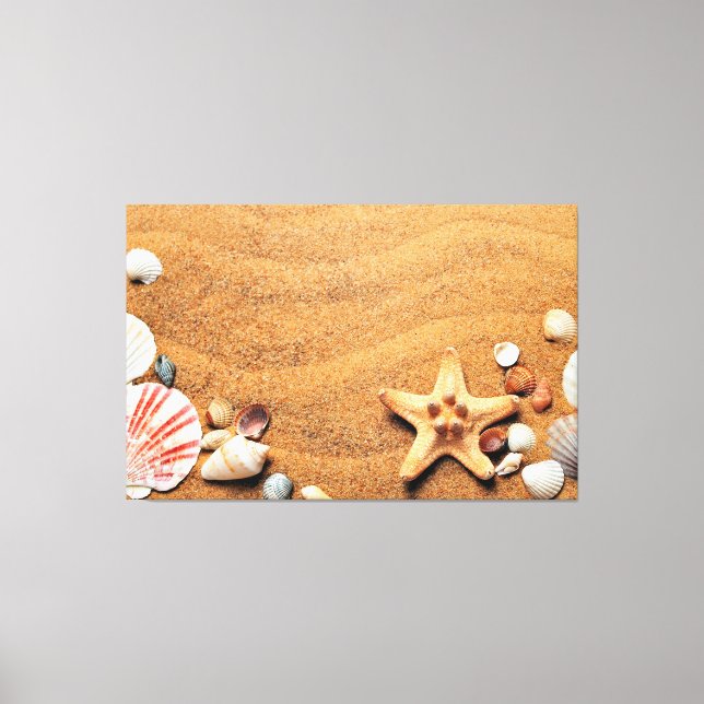 Seashells Canvas Print (Front)