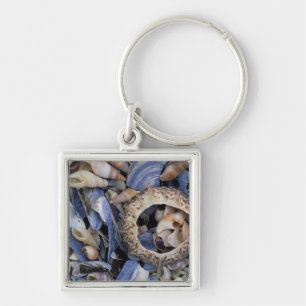 Seashells, Cape Town, Western Cape Keychain
