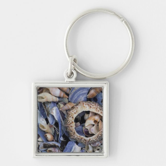 Seashells, Cape Town, Western Cape Keychain (Front)