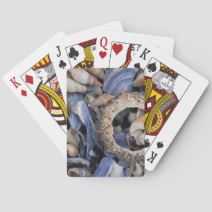 Seashells, Cape Town, Western Cape Playing Cards