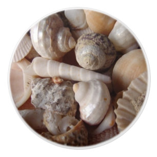 Seashells, Clam Shells, Cockle Shells, Scallops Ceramic Knob
