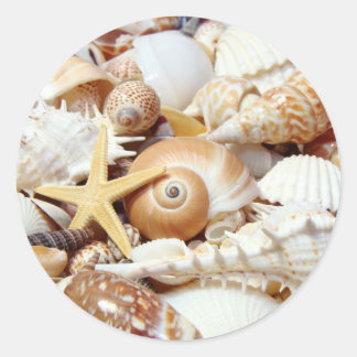 Seashells Classic Round Sticker