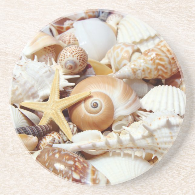 Seashells Coaster (Front)