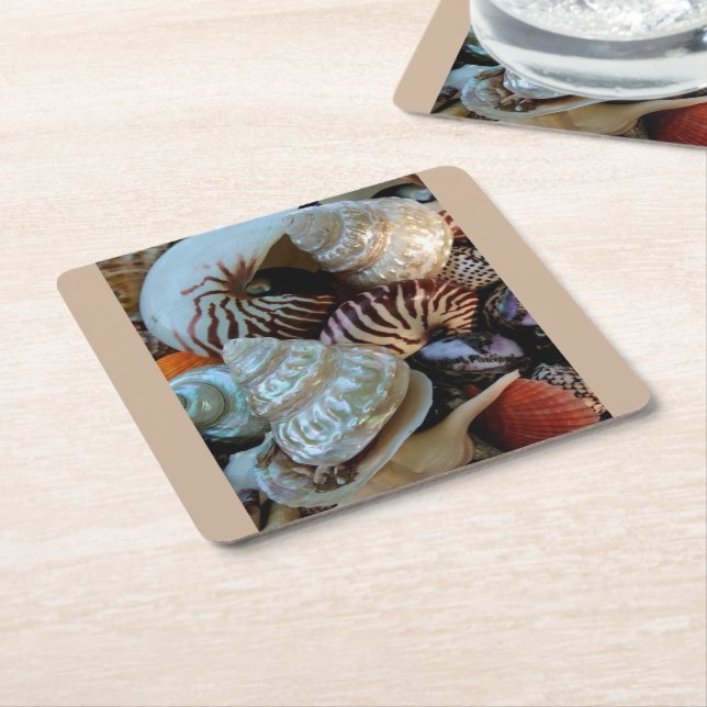 Seashells coasters (Angled)