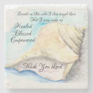 Seashells coasters