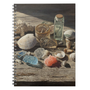 Seashells Coral Coastal Collection Notebook