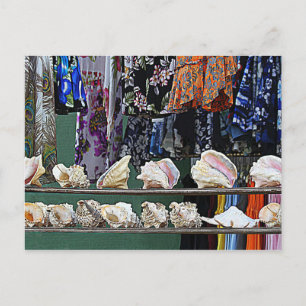 Seashells for Sale Postcard