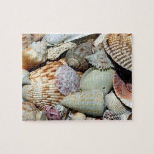 Seashells gathered up from beach Sanibel Island Fl Jigsaw Puzzle