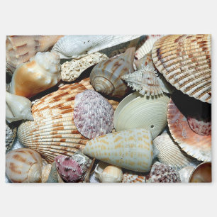Seashells gathered up from beach Sanibel Island Fl Magnet