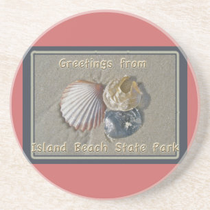 Seashells Greetings From IBSP Seaside Park NJ Coaster