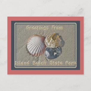 Seashells Greetings From IBSP Seaside Park NJ Postcard
