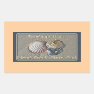 Seashells Greetings From IBSP Seaside Park NJ Sticker