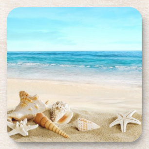 Seashells Hard plastic coasters