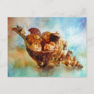 Seashells in a Horse Conch Watercolor Postcard