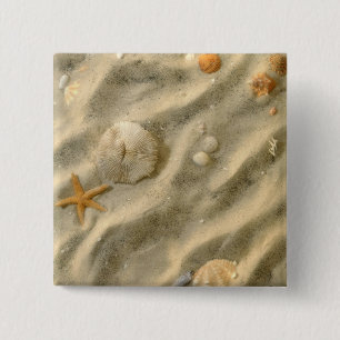 Seashells In Sand 2 Inch Square Button