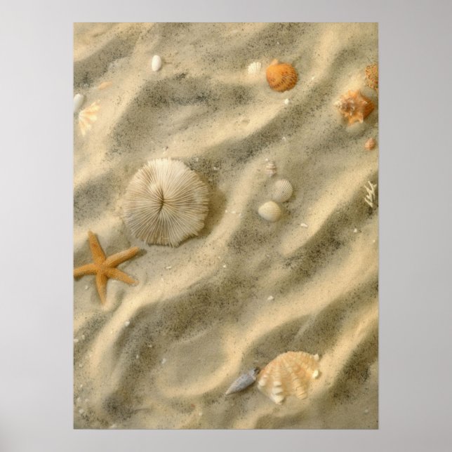 Seashells In Sand Poster (Front)