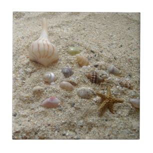 Seashells In The Sand Tile