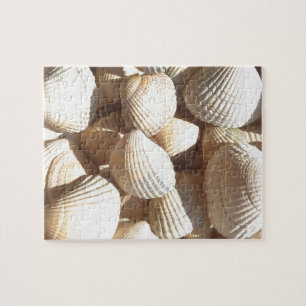 Seashells Jigsaw Puzzle
