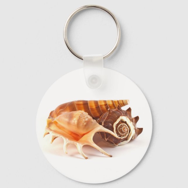 Seashells Key Chain (Front)