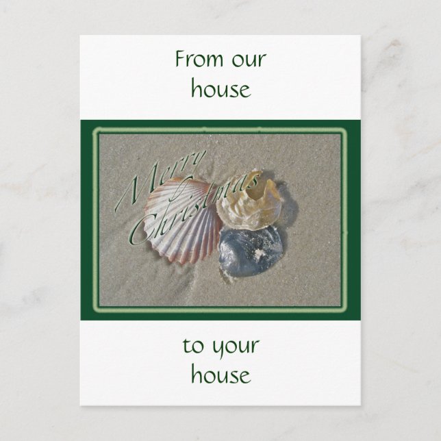 Seashells Merry Christmas Series Holiday Postcard (Front)