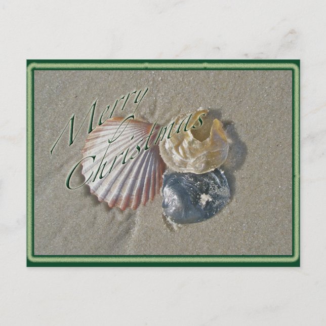 Seashells Merry Christmas Series Holiday Postcard (Front)