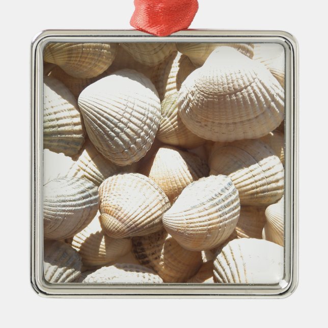 Seashells Metal Ornament (Front)