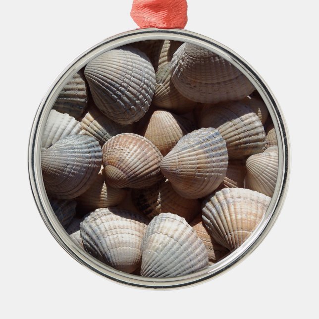 Seashells Metal Ornament (Front)
